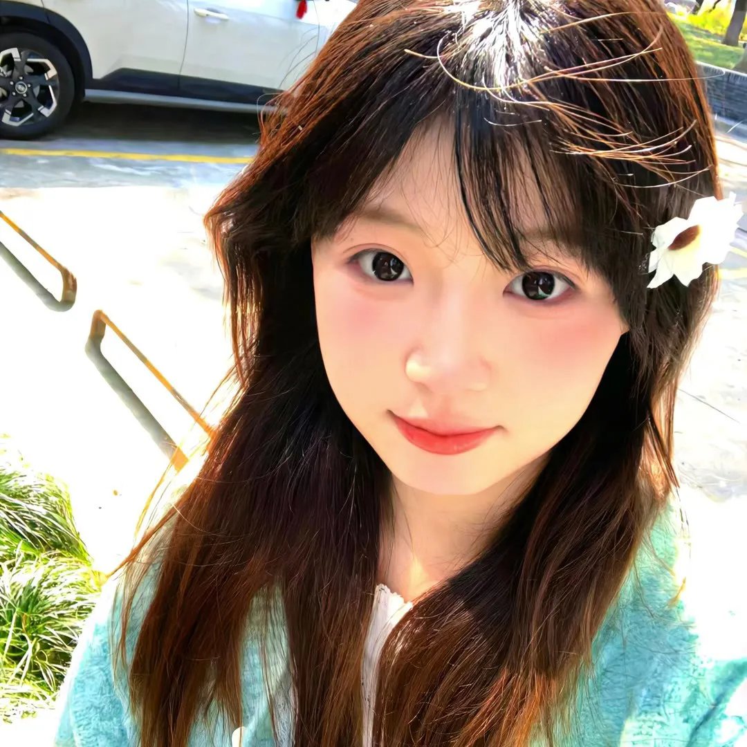 晚风日记2024海报